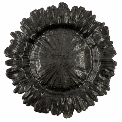 Reef - Glass Charger Plate In Black (Item # 0126)