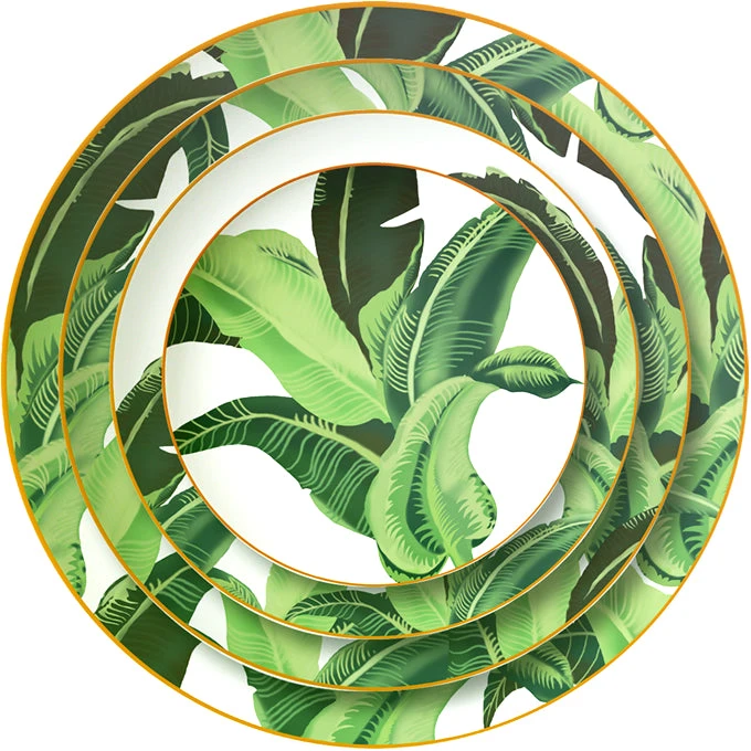 Palm Collection 1 Palm Collection