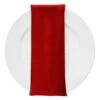 Lush Velvet Table Napkin In Red